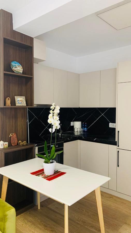 Proper Central Apartment 티라나 외부 사진